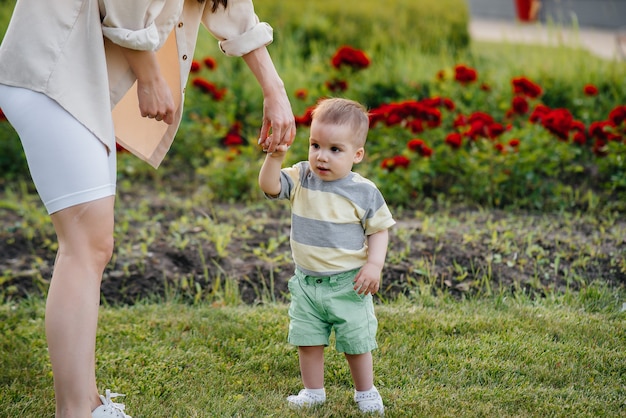 Eine junge süße Mutter hilft und bringt ihrem kleinen Sohn bei, seine ersten Schritte während des Sonnenuntergangs im Park auf dem Gras zu machen.