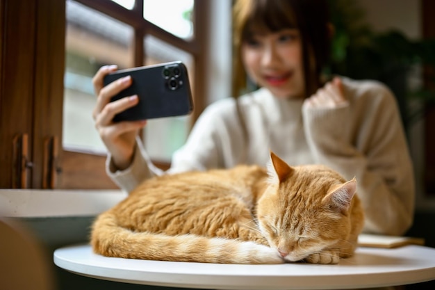 Eine Katze schläft auf einem Tisch, während ihr Chef hinten etwas Interessantes beobachtet