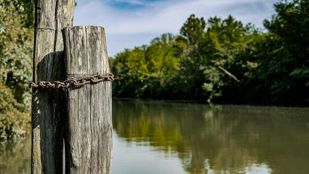 Eine Kette, die an den Baumstamm am Fluss Po gebunden ist