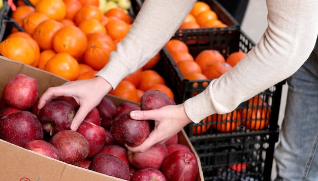 Eine Kiste mit roten Zwiebeln ist mit Orangen und anderen Produkten gefüllt.