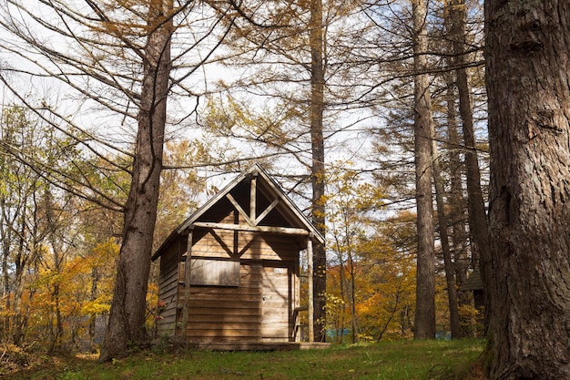 Eine kleine Holzhütte im Wald mit Bäumen im Hintergrund.