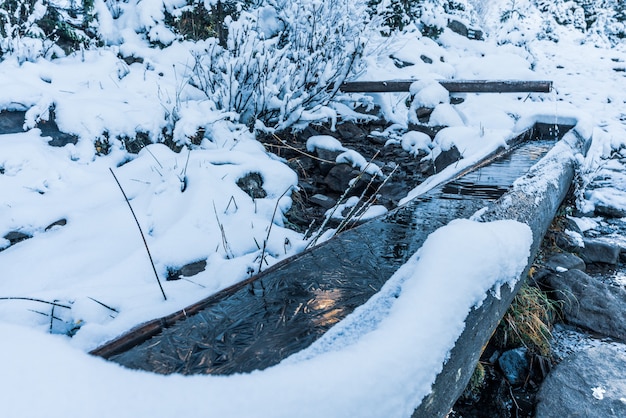 Eine kleine schnelle Quelle mit sauberem, kühlem, transparentem Wasser unter starkem Schnee und dunklem Wald in den malerischen Karpaten