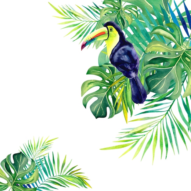 Foto eine komposition mit einem regenbogentukan die tropen monstera-palmenzweig aquarellillustration