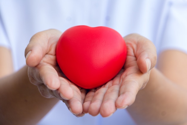 Eine Krankenschwester, die rotes Herzspielzeug hält. Das Foto zeigt den Grundsatz des Interessierens und der guten Gesundheit.