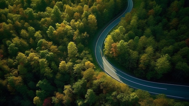 Eine kurvenreiche Straße durch einen Wald mit einem grünen Wald im Hintergrund.