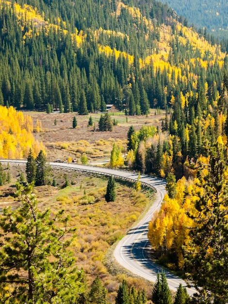 Eine ländliche Bergstraße mit einer kurvigen "S"-Kurve. Herbstlandschaft in Colorado.