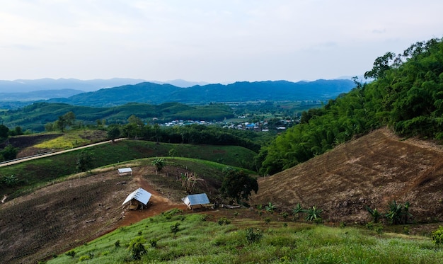 Eine Luftaufnahme des endlosen Grüns von CHIANGRAI. Eine Ansicht des Unterbezirks Mae Ngern Chiang Saen