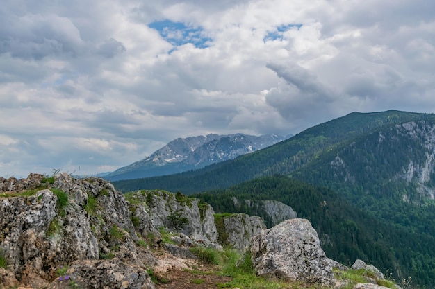 Eine malerische ruhige Wiese in einem Wald zwischen den hohen massiven Bergen