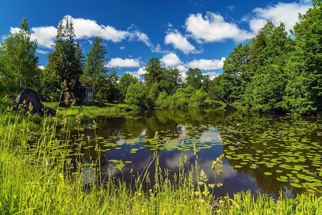 Eine malerische Sommerlandschaft am Ufer im Priyutino-Anwesen Gebiet Wsewoloschsk Leningrad