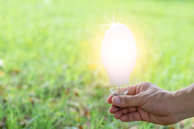 Eine Mannhand, die die Lichtlampe mit Computergrafiklicht, Erfolg und Innovation, Ideenkonzept mit grünem Gras und unscharfem Naturhintergrund fängt