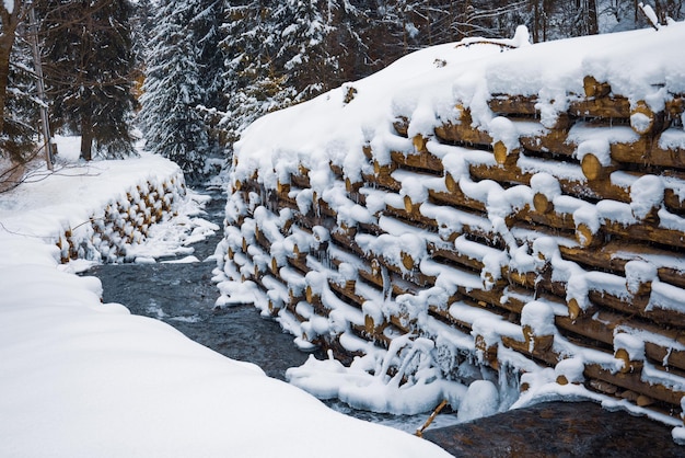 Eine Mauer aus Baumstämmen umschließt einen kleinen Bach im Wald in der Nähe von kahlen Bäumen