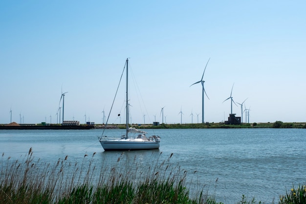 Foto eine menge windmühlen turbine auf dem blauen himmel im meer mit yacht niederlande nordsee