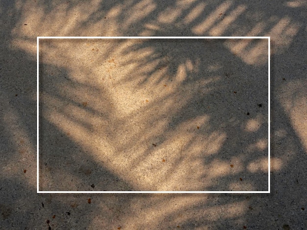Eine minimalistische weiße dünne Linie macht einen dekorierten quadratischen Rahmen auf den tropischen Palmblättern Schatten auf dem Steinboden Hintergrund Leerer Leerraum-Randrahmen für Sommerferienzeit Urlaubskonzept