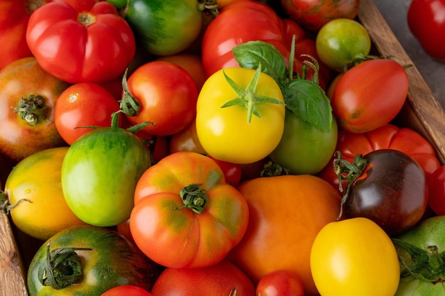 Eine Mischung aus reifen, bunten, organischen Tomaten, gesundes Essen