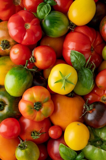 Eine Mischung aus reifen mehrfarbigen Bio-Tomaten