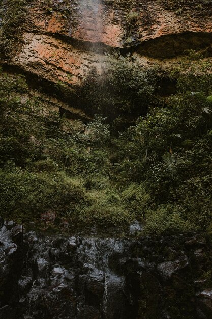 eine mit grünem Moos bedeckte Felswand mit einem Wasserfall im Hintergrund