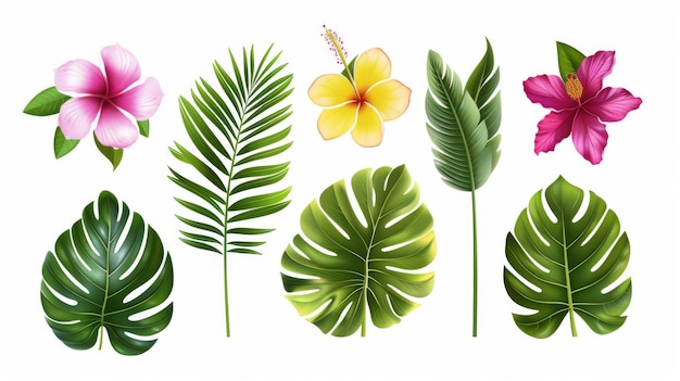 Eine moderne Reihe von tropischen Blättern wie eine Palme, ein Bananenblatt, Hibiskusblüten und Plumeriablüten