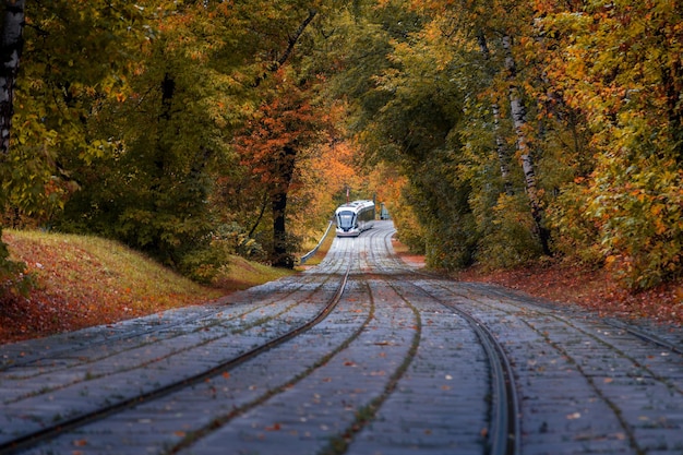 Eine moderne Straßenbahn fährt aus einem dichten Wald in Herbstfarben Moskau Russland