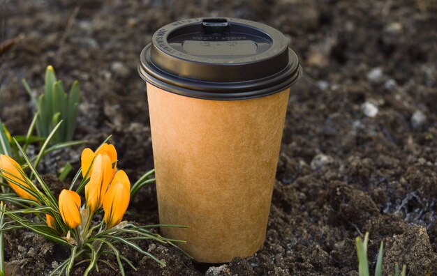 Eine morgendliche Tasse Kaffee im sonnigen Garten im Frühjahr Das Konzept der Befriedung Entspannung friedliches Leben