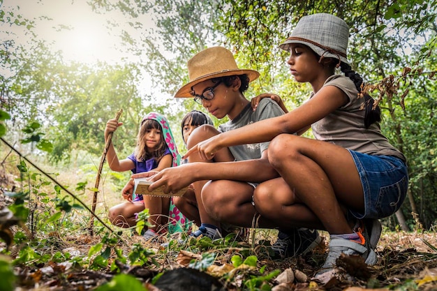 Eine multiethnische Gruppe neugieriger, glücklicher Schulkinder in Freizeitkleidung, die gemeinsam Natur und Wald erkunden Die Kinder, die auf der Suche nach einem Schatz in das Notizbuch schauen Naturkonzept mit Kindern