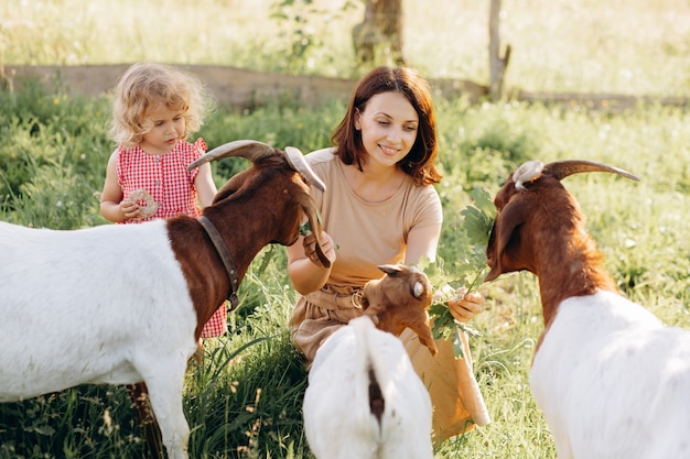 Eine Mutter und ihre schöne und lockige Tochter weiden Ziegen auf einer Öko-Farm