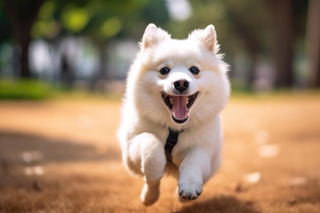 Eine Nahaufnahme eines fröhlichen Hundes, der durch den Park rennt. Generative KI