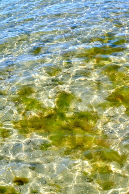 Eine Nahaufnahme eines ruhigen flachen felsigen Bodens eines Ozeanteiches oder Sees mit grünem Moos, das unter Wasser wächst Winzige kleine Wellen und Sonnenlicht, das an einem sonnigen Sommertag in einem Süßwasserbett scheint