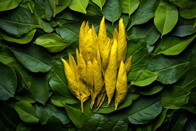 Foto eine nahaufnahme eines straußes gelber blumen