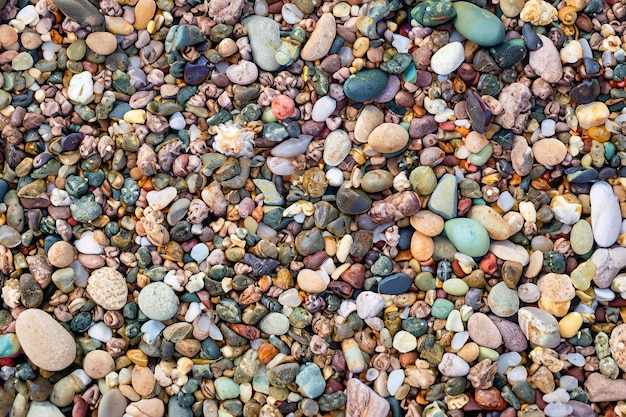 Eine Nahaufnahme von bunten Kieselsteinen am Strand.