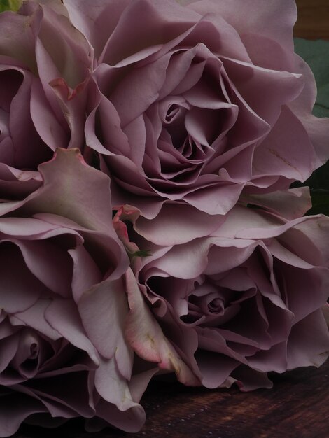 Eine Nahaufnahme von einem Strauß Rosen mit dem Wort Rosen darauf