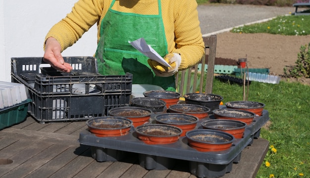 Eine Nahaufnahme von Frauenhänden bei der Gartenarbeit