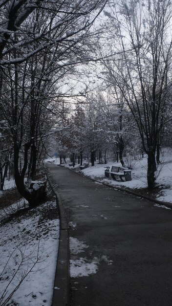 Eine natürliche Umgebung im Winter