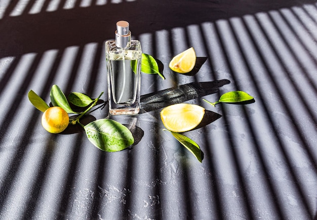 Eine offene Flasche Damenparfüm steht auf dunklem Hintergrund zwischen einer reifen Mandarine und sonnigen Schatten Präsentation und Werbung für das Produkt