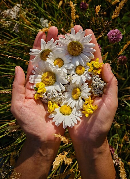 Eine Person, die eine Wiese mit bunten Wildblumen in der Hand zeigt