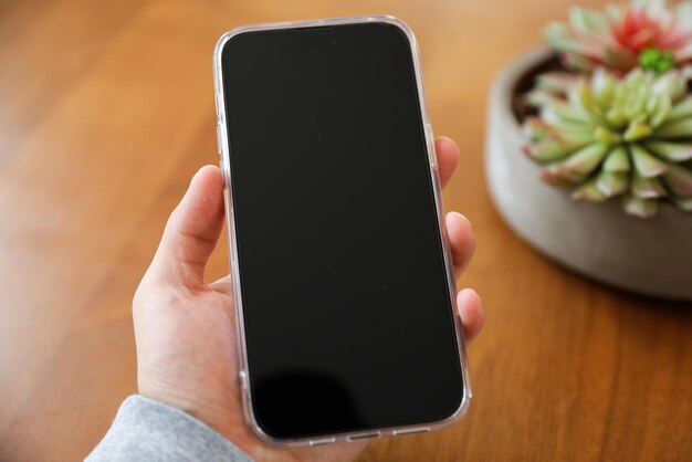 Eine Person hält ein Telefon mit einem schwarzen Bildschirm, auf dem „Sukkulenten“ steht.