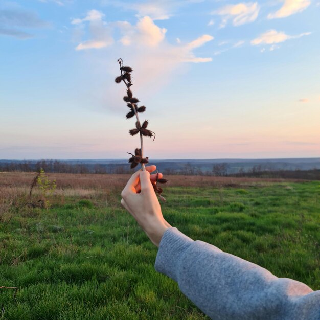 Eine Person hält eine Blume in der Hand und der Himmel ist blau und orange.