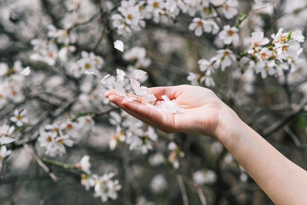 Eine Person hält eine Blume in der Hand.