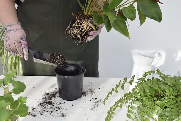 Eine Person hält einen Pflanzentopf mit dem Wort „Garten“ in der Hand.