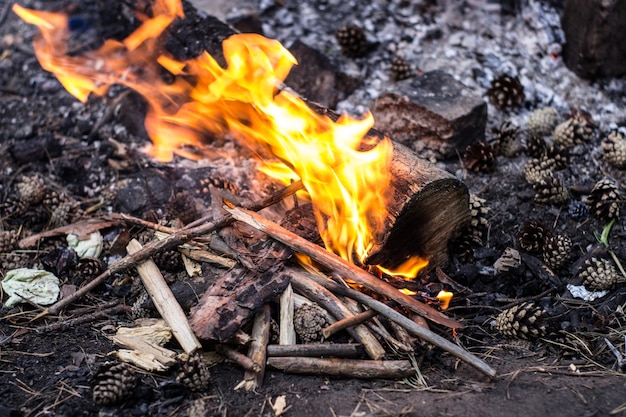 Eine Person macht ein Feuer im Freien im Wald zum Kochen, Beleuchtung und Sicherheit