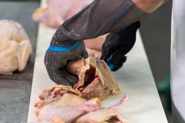 Eine Person mit Handschuhen schneidet einem Huhn die Haut auf.