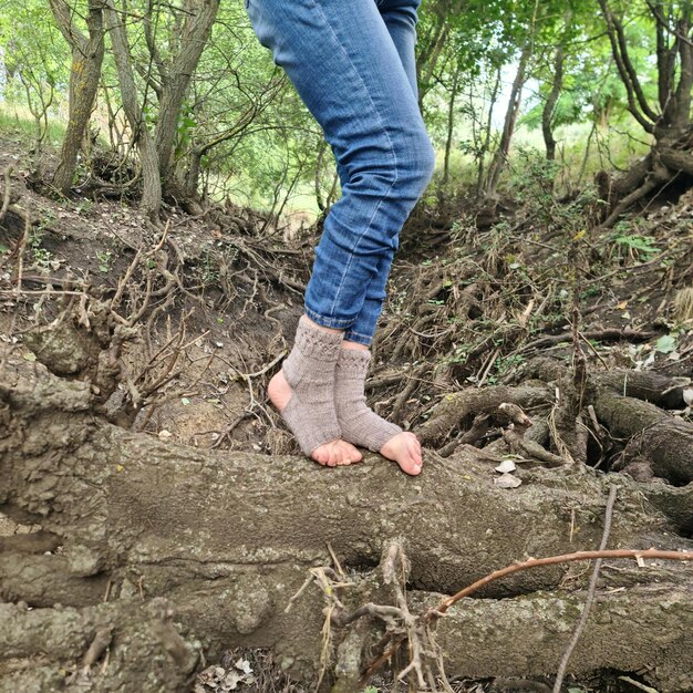 Eine Person mit Socken in den Füßen auf einem Baum