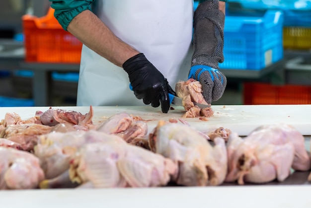 Eine Person schneidet Hühnchen auf einer Theke