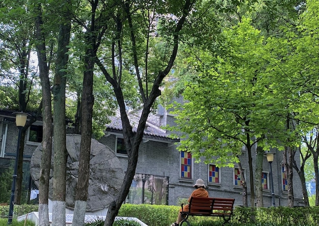 Eine Person sitzt auf einer Bank in einem Park mit einem Gebäude im Hintergrund.
