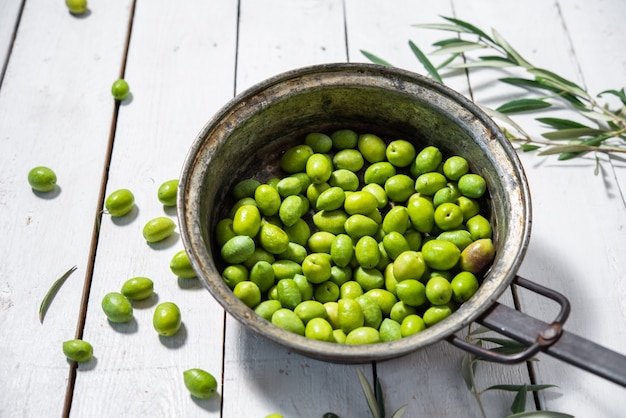 Eine Pfanne mit grünen Bio-Oliven gefüllt, um Olivenöl auf weißem Hintergrund zuzubereiten