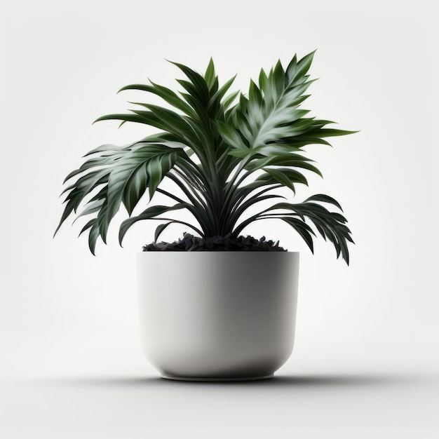 Eine Pflanze in einem weißen Topf mit einer Pflanze darin.