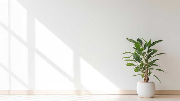 Eine Pflanze in einem weißen Topf steht auf einem Holztisch.