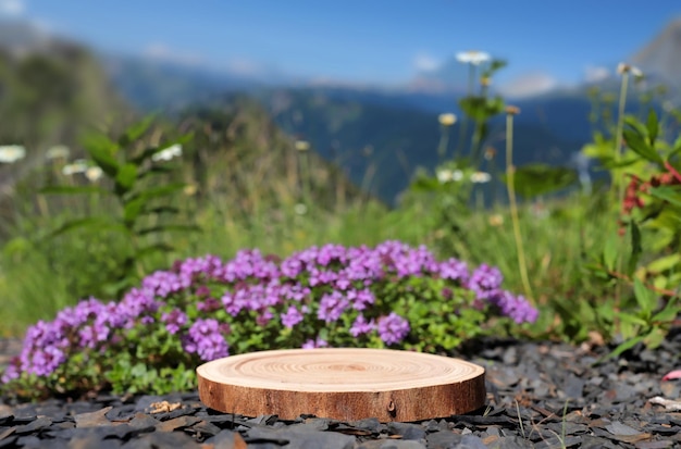 Eine Platte mit Blumen ist ein Podium mit Blick auf die Berge. Die vordere Vitrine mit Bühne