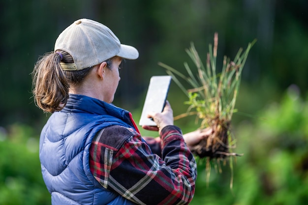 Eine regenerative Biobauerin entnimmt Bodenproben und untersucht das Pflanzenwachstum auf einem Bauernhof, der nachhaltige Landwirtschaft betreibt. Sie macht ein Foto mit ihrem Telefon in Australien