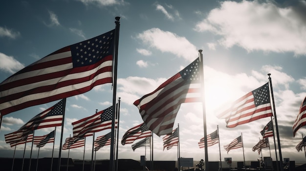 Eine Reihe amerikanischer Flaggen, auf die die Sonne scheint