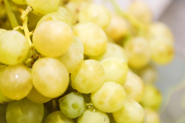 Eine Reihe grüner Weintrauben in Nahaufnahme